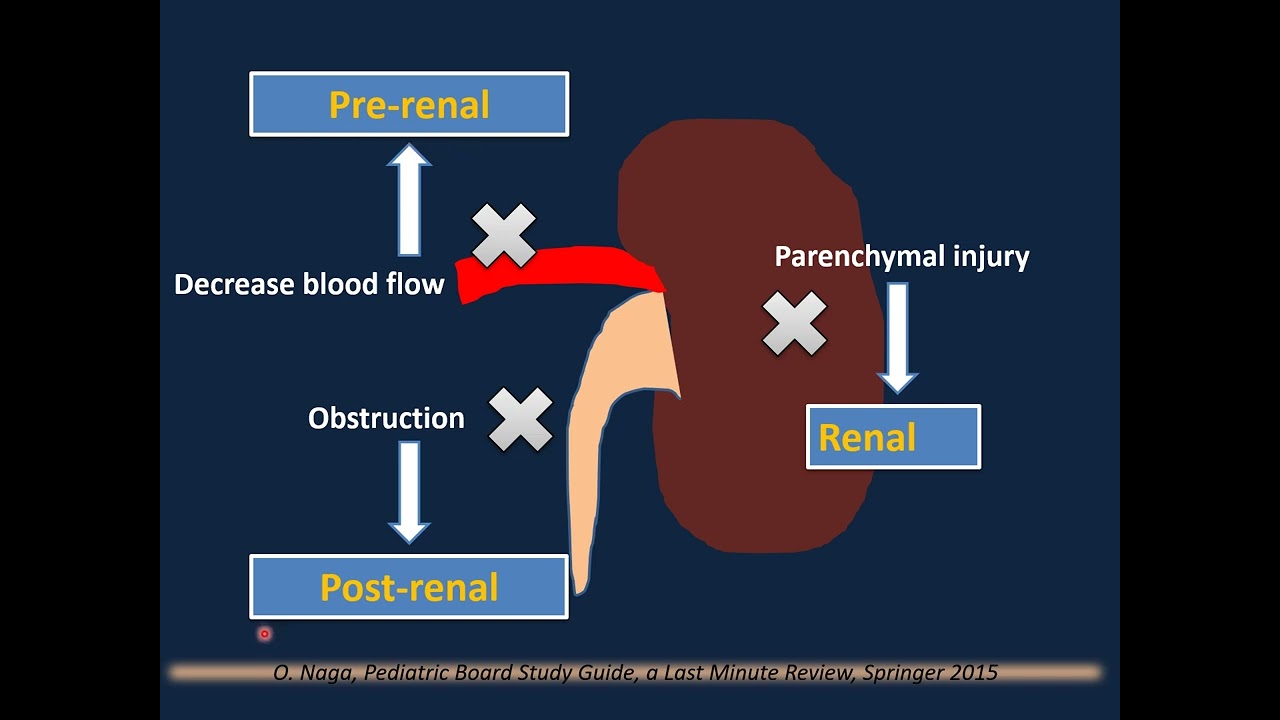 Renal Disorders III