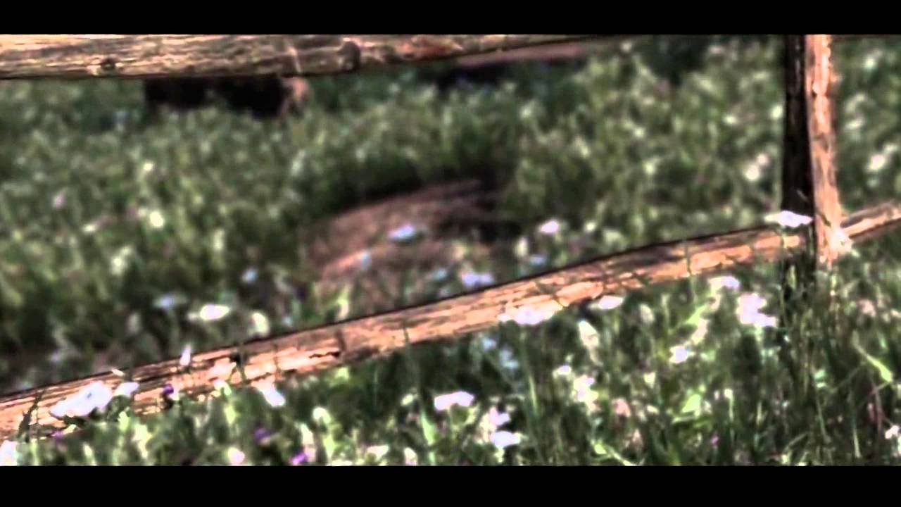 1MIL / Aidz [MW2]