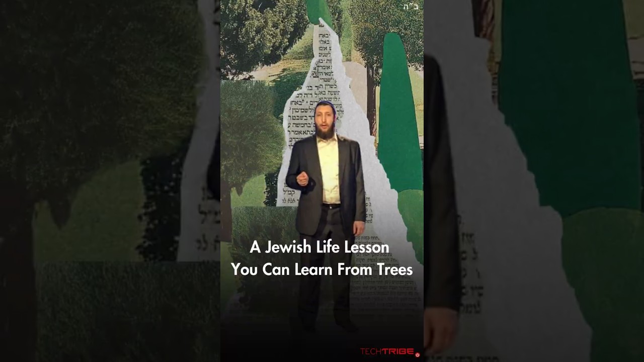 A Jewish Life Lesson You Can Learn From Trees.
