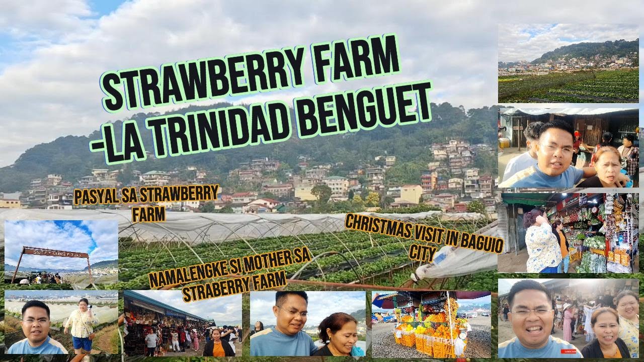 Unang Bisita sa Baguio - Strawberry Farm in La Trinidad Benguet #strawberry #strawberryfarm #baguio