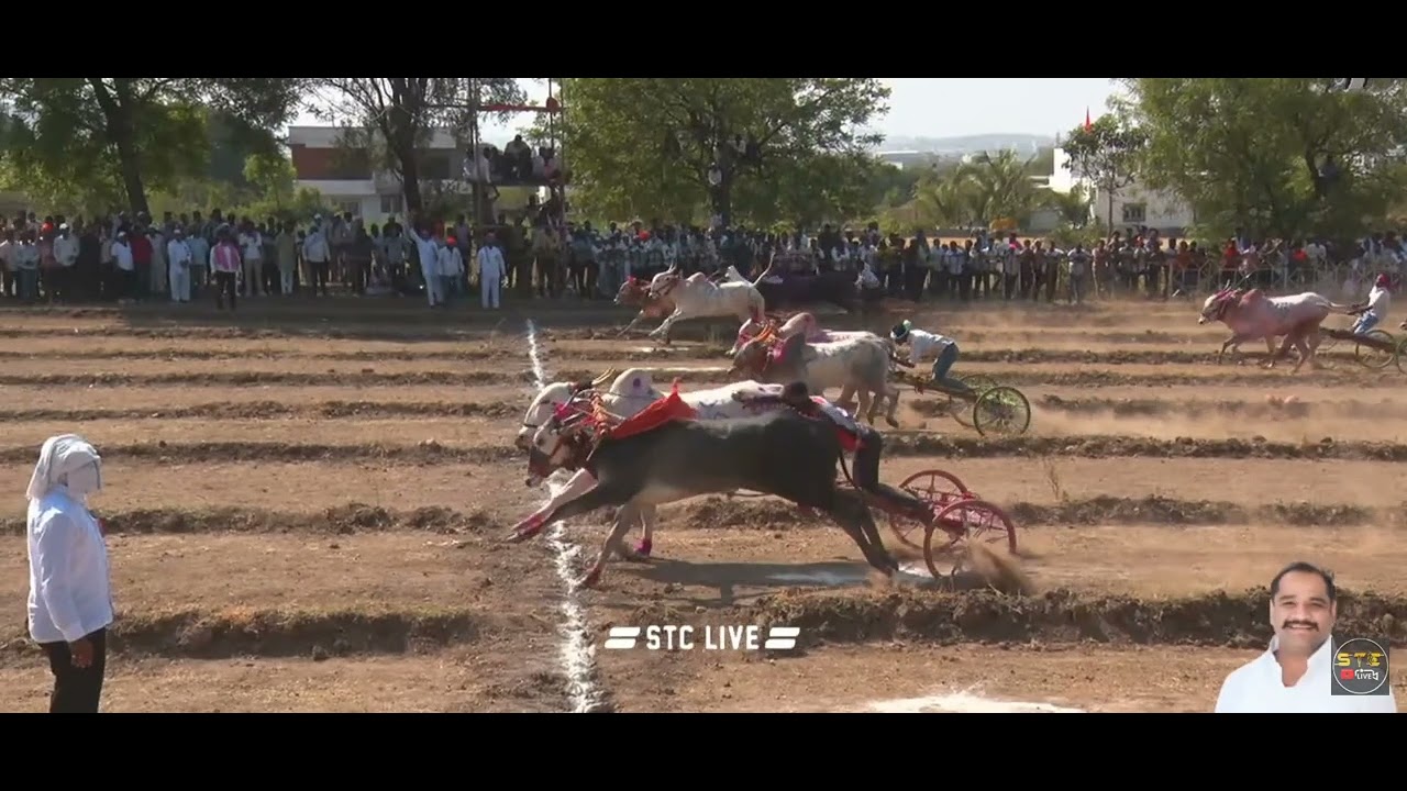 सेमी फायनल -2 सेमी फायनल -2.सेमी फायनल -2सेमी फायनल -2