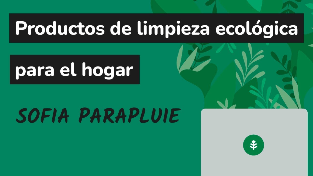Productos de limpieza ecológica para el hogar - Sofiaparapluie