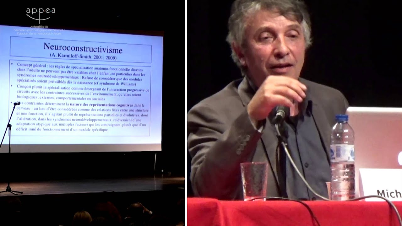 Neuropsychologie des TA : limites et vertus d'une néophrénologie du développement