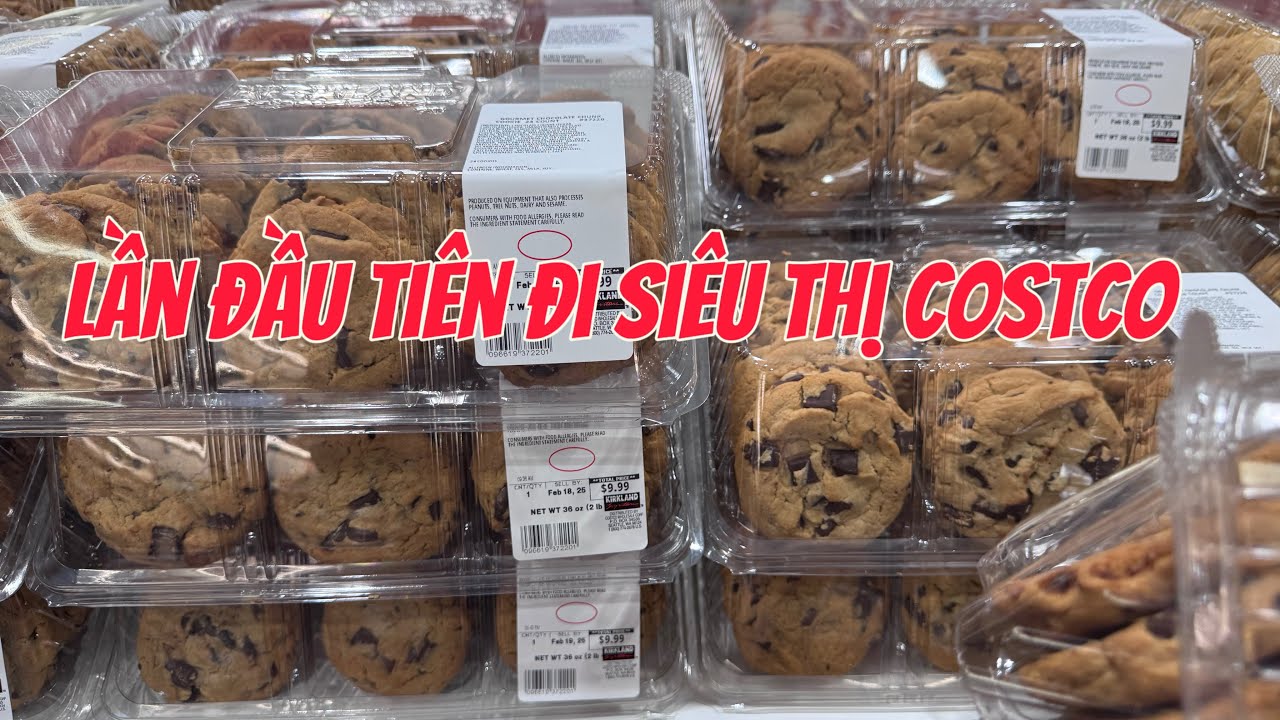 Lần đầu đi siêu thị Costco ở Mỹ || Tâm Nguyễn