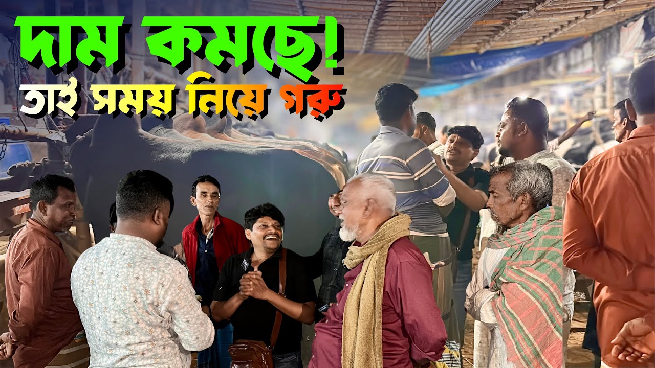 আগামীকাল থেকে দাম কমছে! 🔥 ৪ গরু কনফার্ম | Gabtoli Haat 20 February 2026 🐂