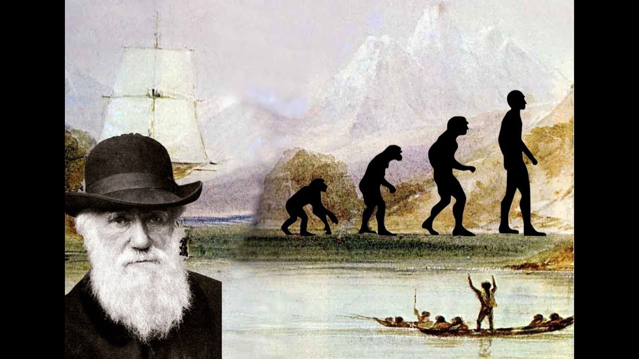 Darwin and Evolution