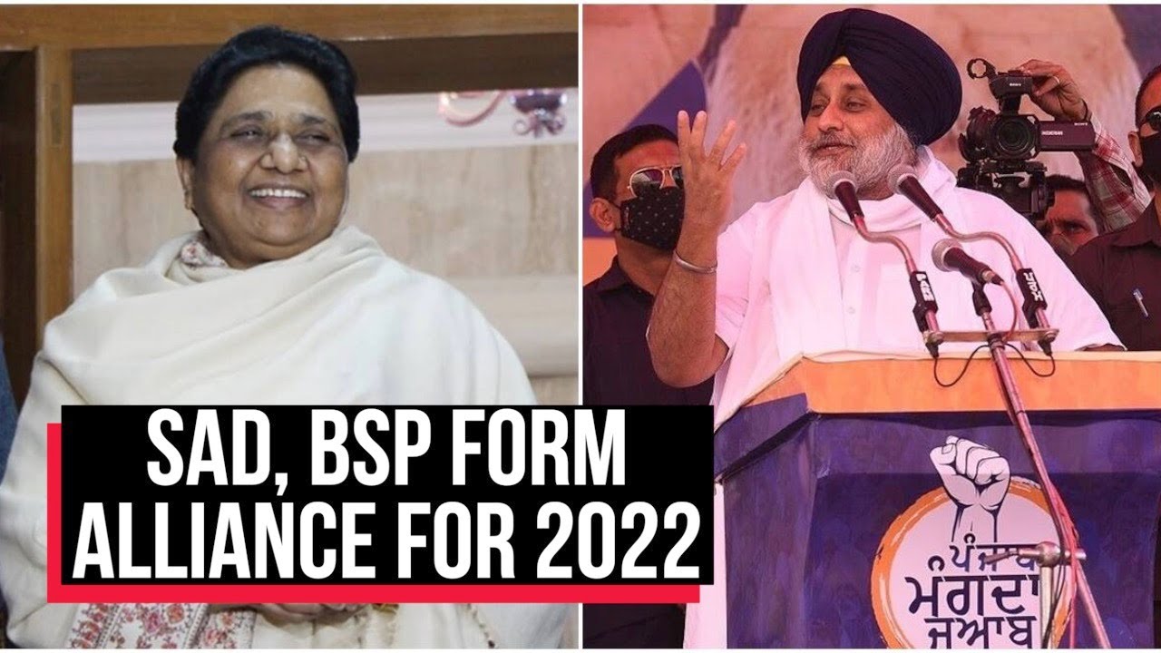 Akali Dal, Mayawati's Party Form Alliance Ahead Of Punjab Polls | Cobrapost