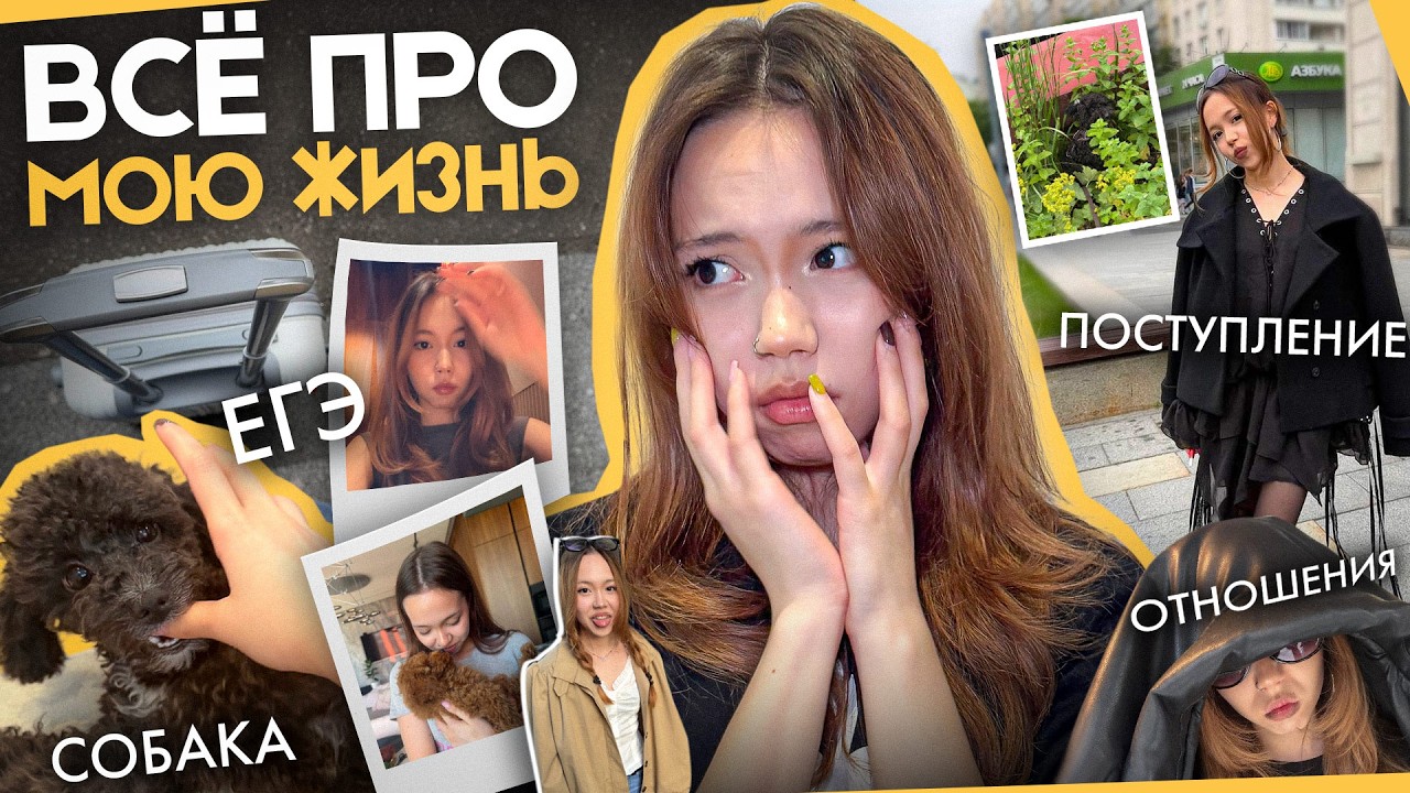 МОЯ НОВАЯ ЖИЗНЬ (вопрос-ответ)