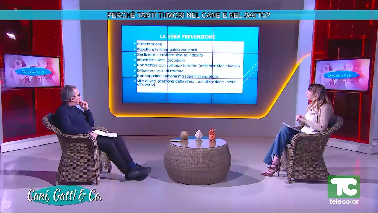 Speciale Cani & Gatti: perchè tanti tumori nel cane e nel gatto