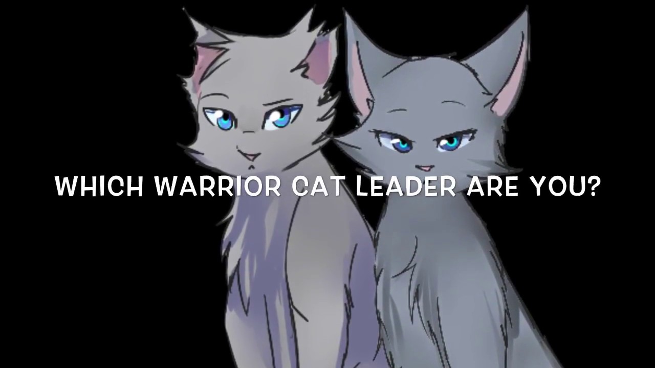 What Warrior Cat leader are you?  (Quiz)