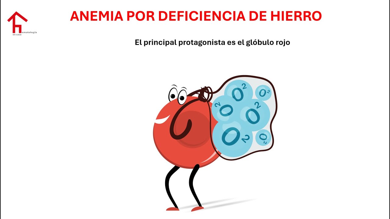 Capítulo 4. Comprendiendo la anemia por deficiencia de hierro, mitos y realidades.