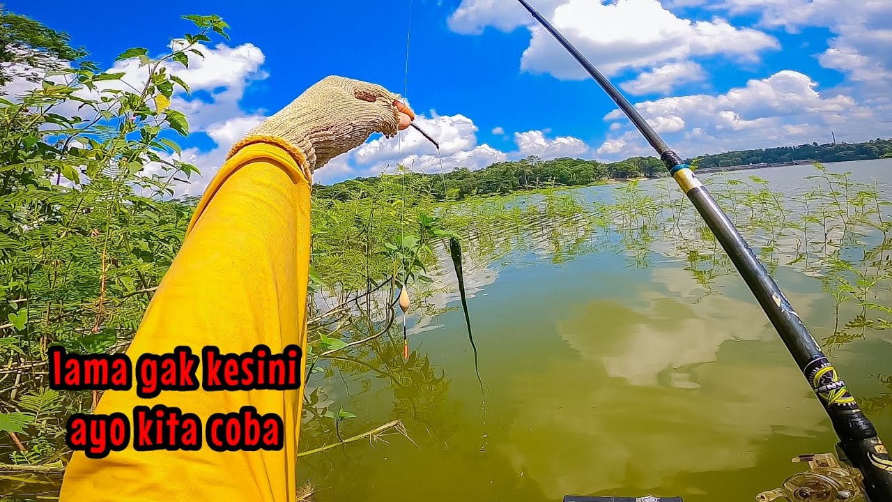 AYO KITA COBA‼️ ADU KEBERUNTUNGAN DI ANTARA KLAMPIS BERDURI || mancing ikan nila di waduk lahor