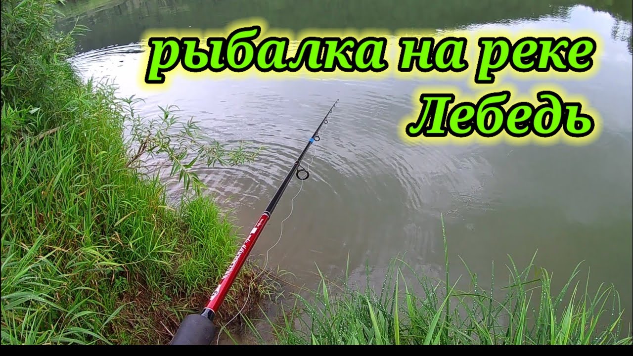 Рыбалка на реке Лебедь на спиннинг 👆