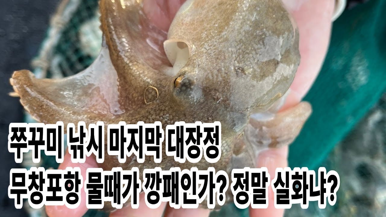 쭈꾸미낚시 시즌 졸업식 하고 왔습니다ㅣ쭈꾸미 액션법ㅣ입질유도파악