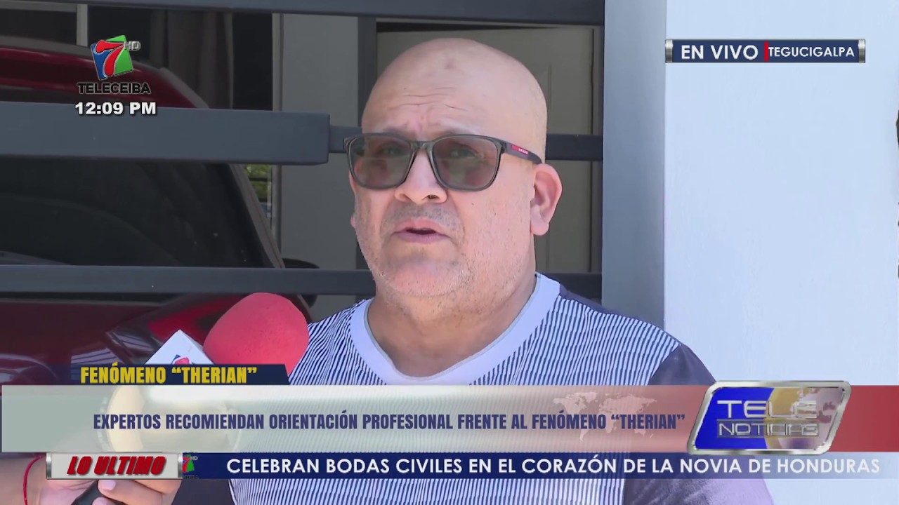 Expertos recomiendan orientación profesional frente al fenómeno ''Therian''