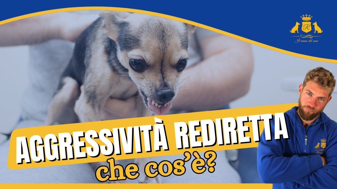 AGGRESSIVITÀ REDIRETTA: Che Cos'è?