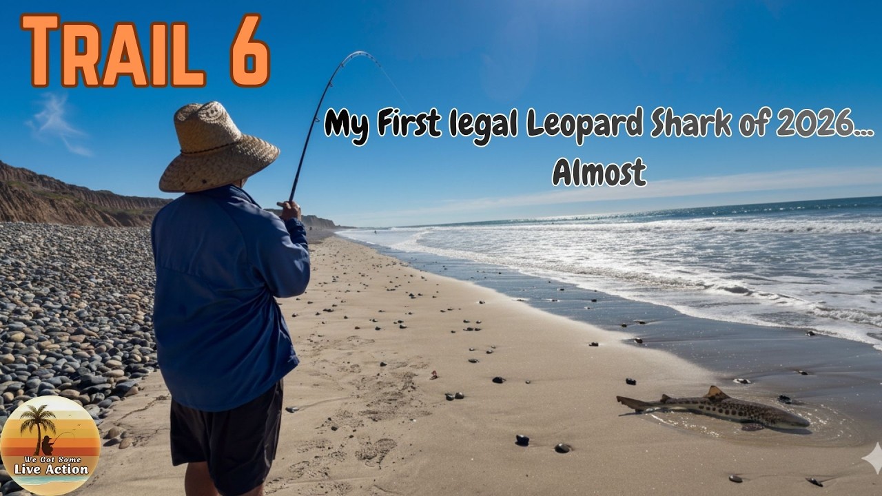 My First LEGAL Leopard Shark at San Onofre… and It SNAPPED OFF on Shore! 😭🎣#fishing