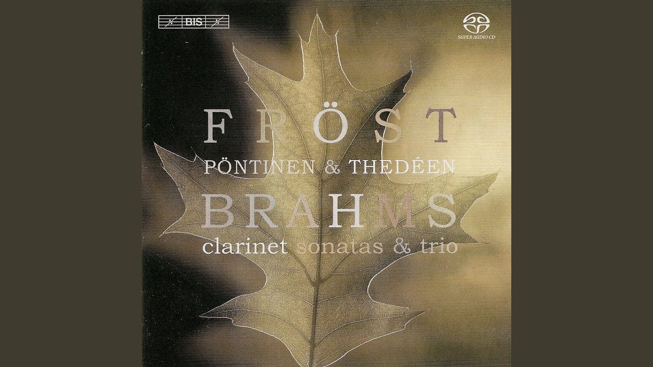 Clarinet Sonata in F Minor, Op. 120, No. 1: II. Andante un poco Adagio