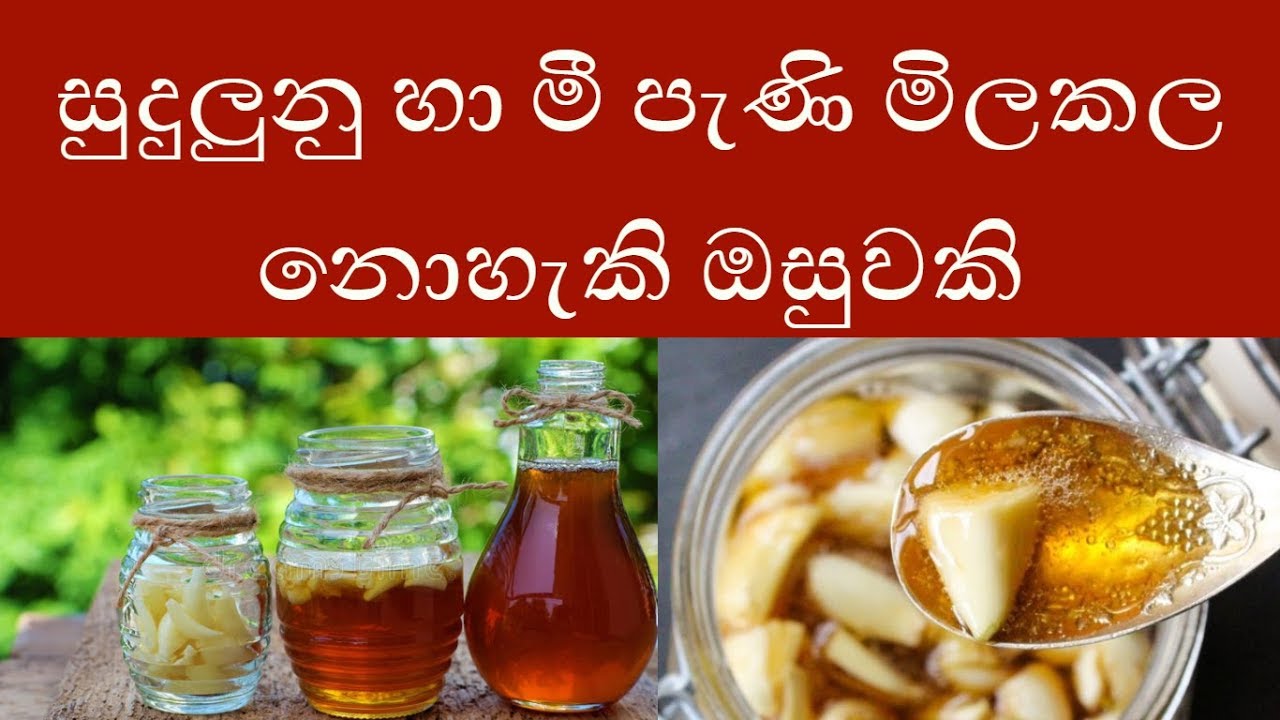 Benefits of garlic and bee honey  - sinhala health tips - Ayurveda - health tips - sl notes