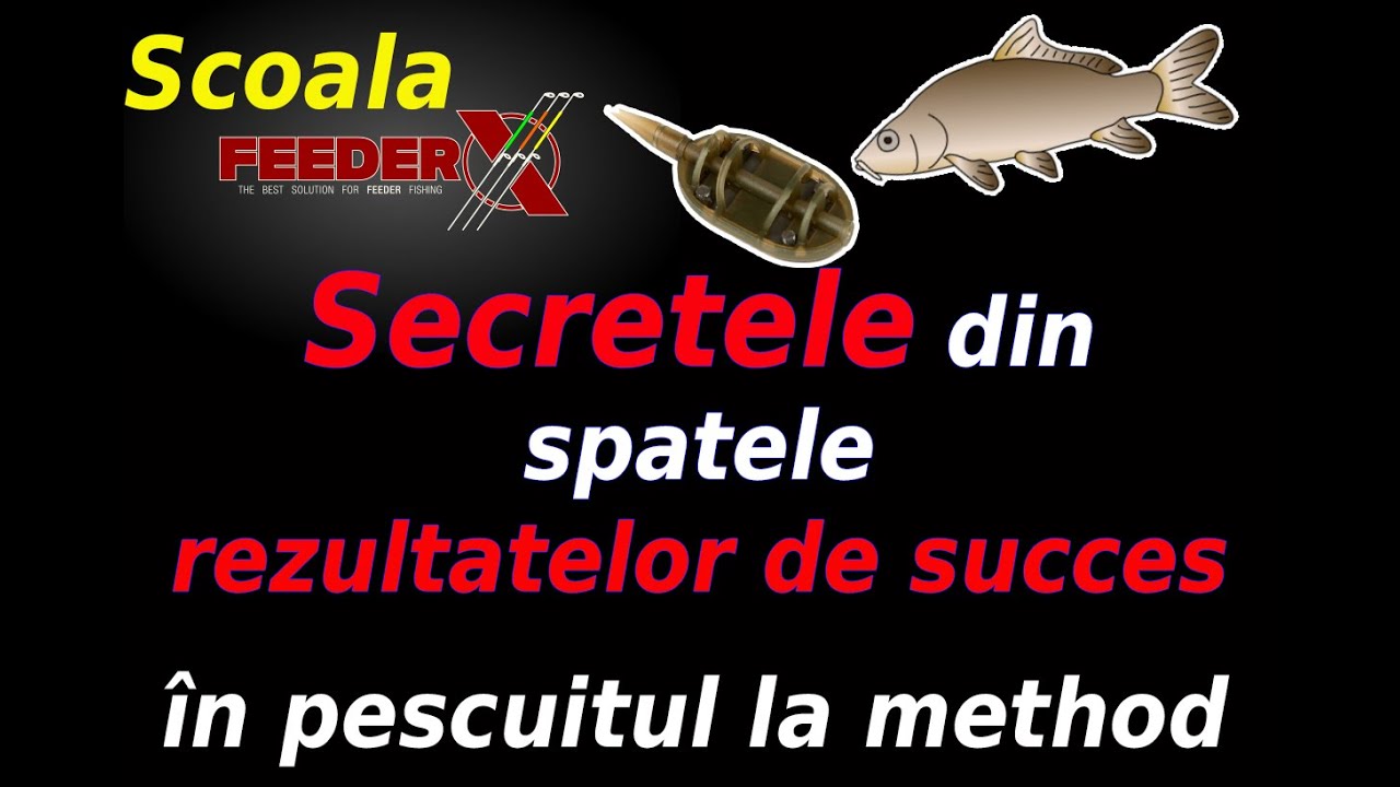 Secretele din spatele rezultatelor de succes în pescuitul la method feeder.