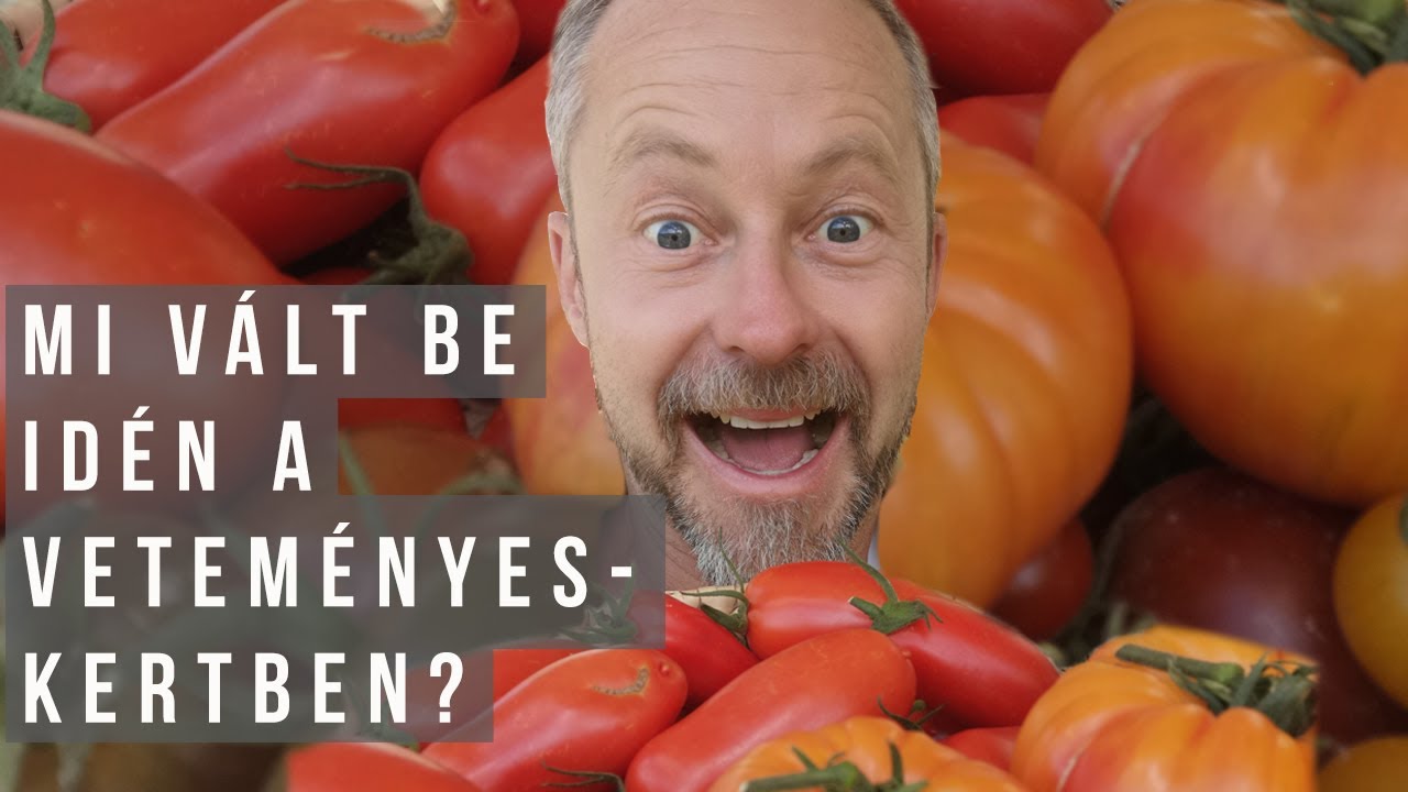Mi vált be a veteményeskertben idén? / kert TV