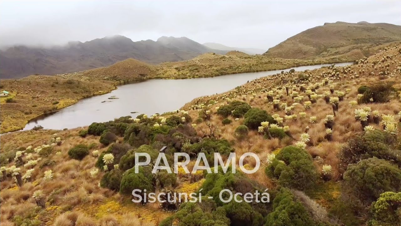 Camino Páramo Siscunsí Ocetá 