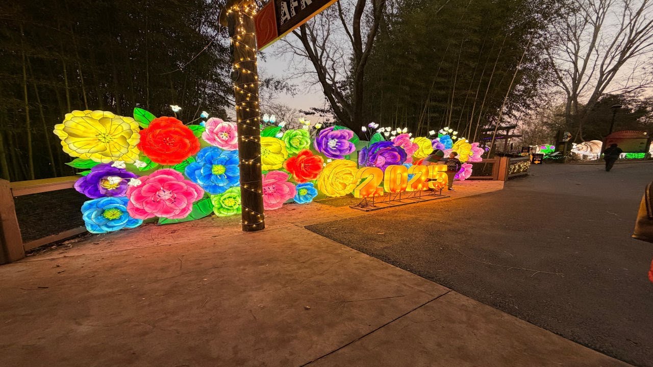 Atlanta Zoo Evening Illuminati Walk Dec 2025 | Magical Night Lights ✨