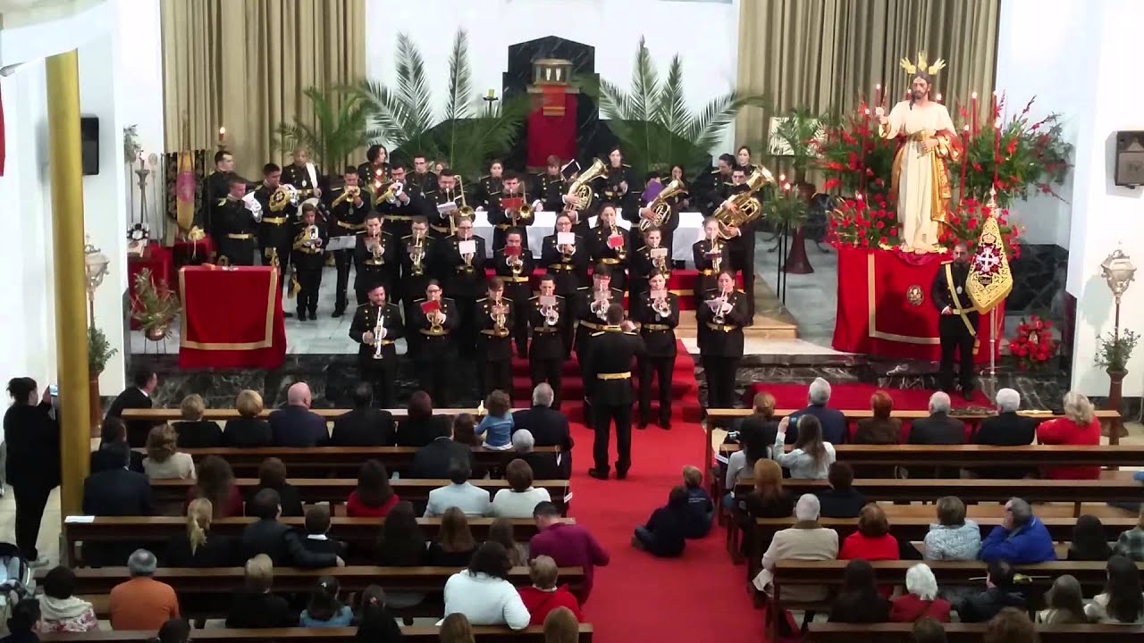 A.M.NSTRA SRA DE LA SALUD - Salud -  Concierto Seminario 2016