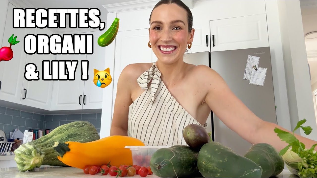 Lily malade, recettes de courgettes & organisation maison !