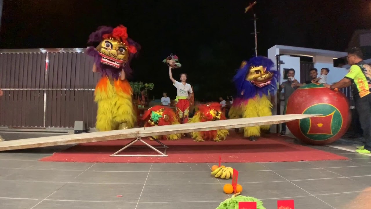 Sabah lion dance collection 2020