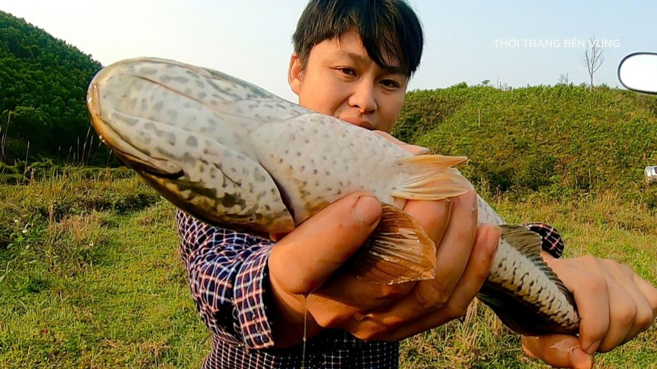 Catching Big Snakehead Fish with Setlines and Rod – Grilling Fresh Fish Outdoors