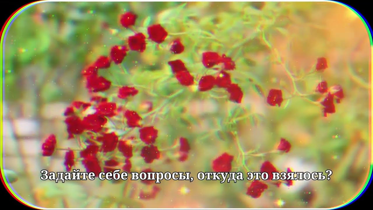 7 вещей, которые женщины делают в постели, когда им уже изменяют | Женская психология