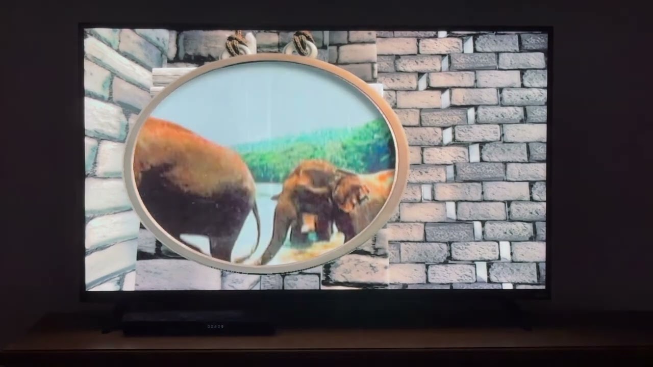 Puppet Video: The Puppets Play Mowgli's Jungle Ruins MazeThe Jungle Book 2 DVD Game (Again)