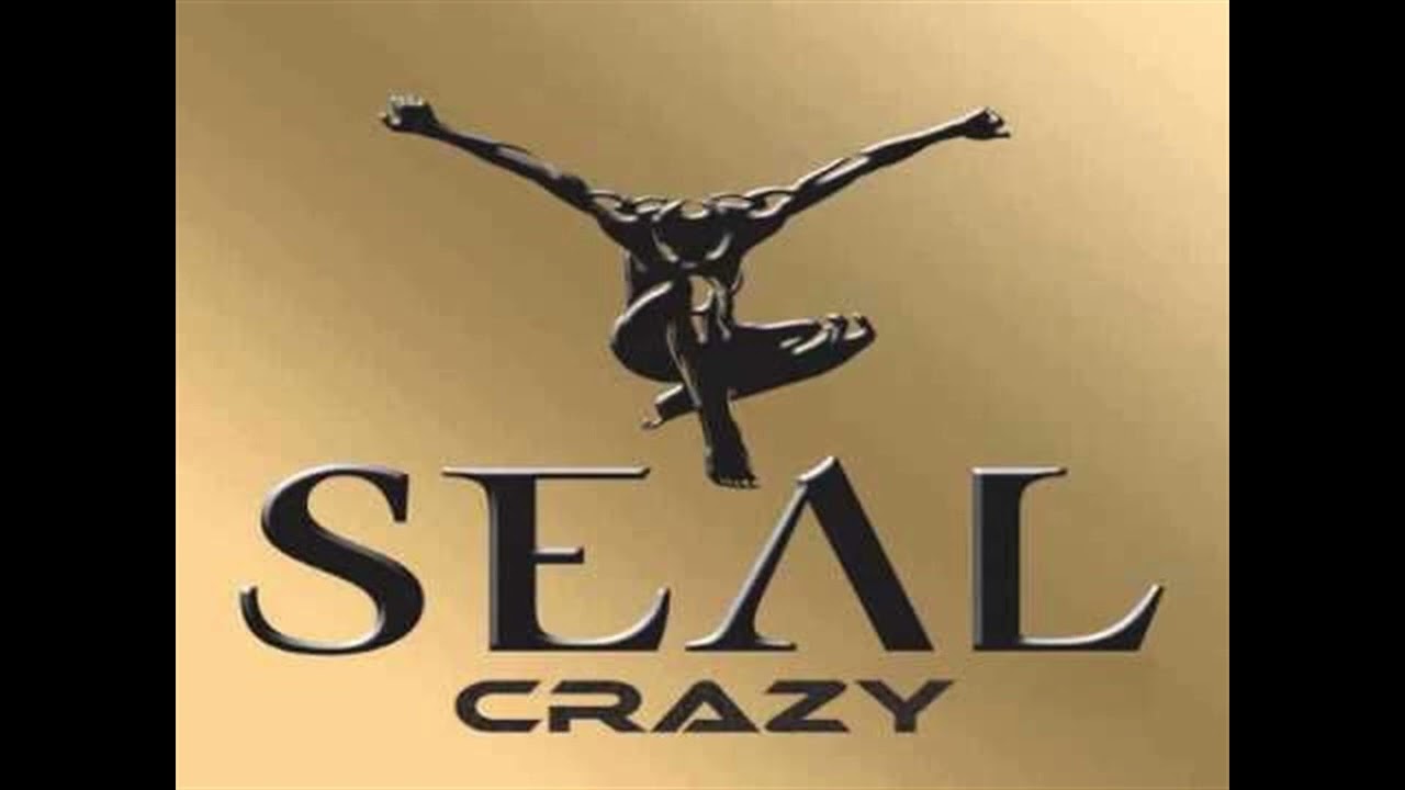 Seal -  Crazy (Instrumental)