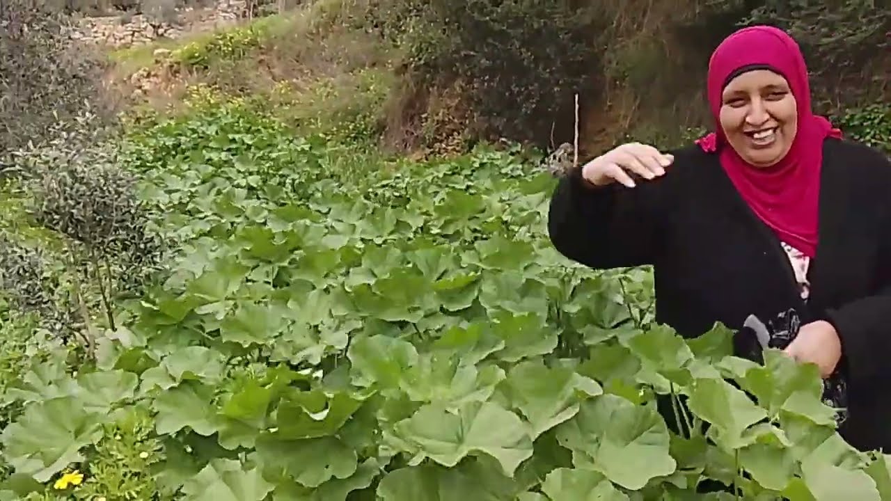 رحلة الهروب الى احضان الطبيعة وقطاف الزعتر والزوبع البري