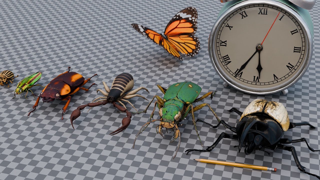 Insect 🦋 Size Comparison