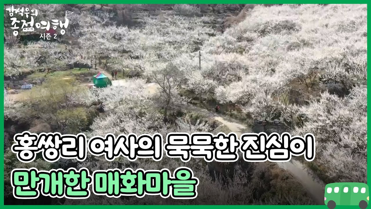 홍쌍리 여사의 묵묵한 진심이 만개한 매화마을 MBN 230429 방송