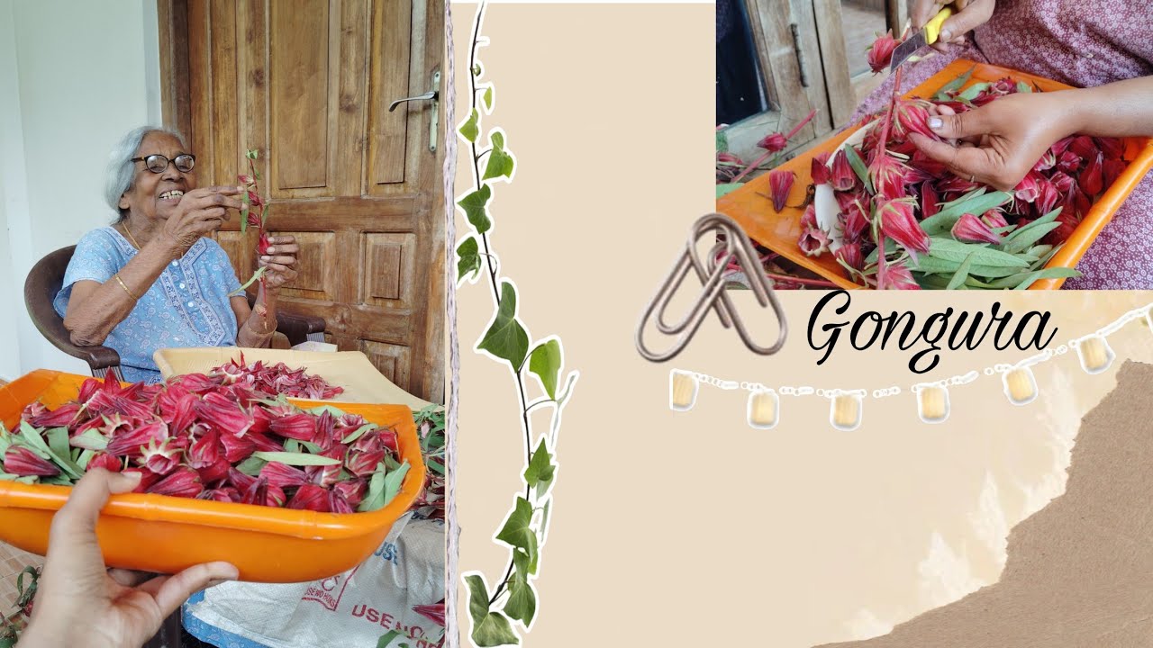 Dadi and Gongura!!! 