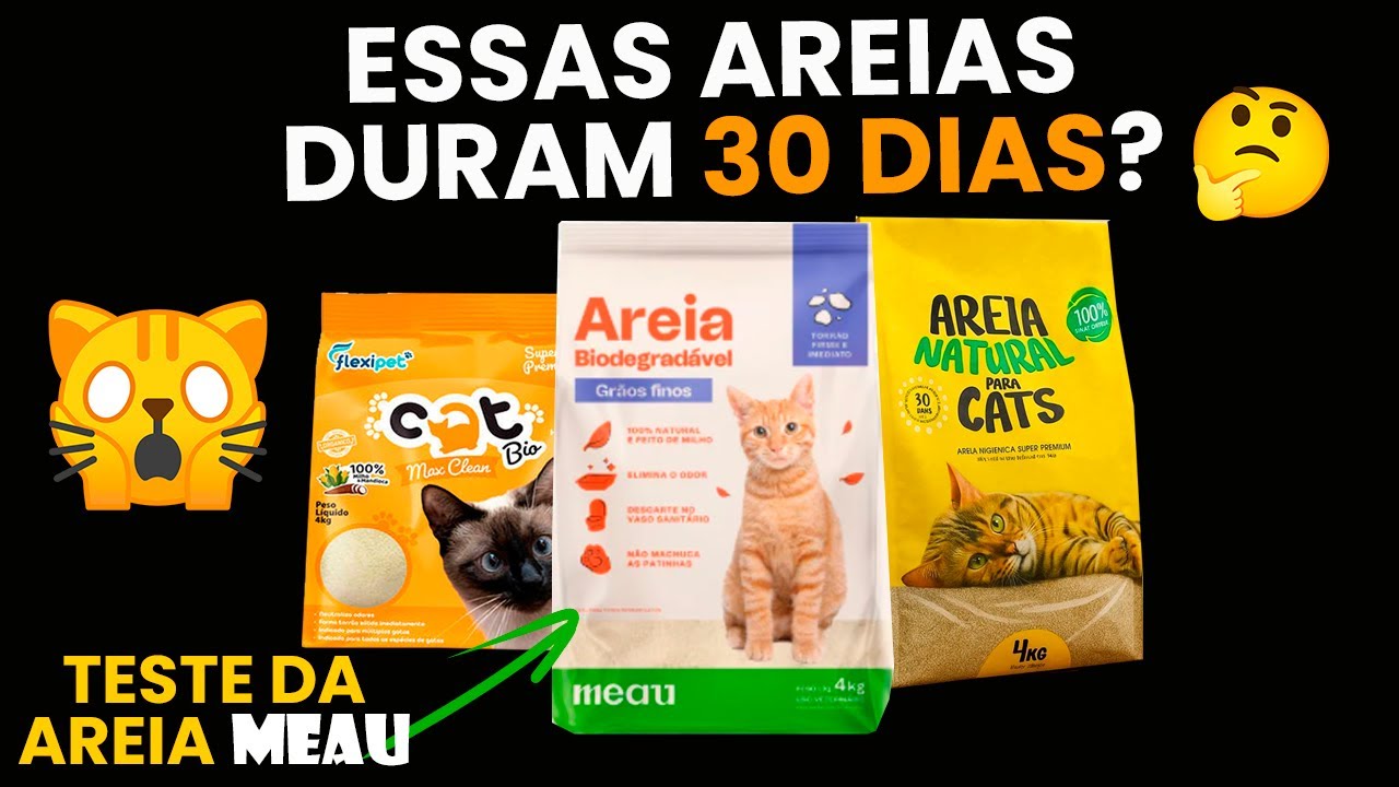 Areia Meau para gatos é boa? Teste de areias CARAS!