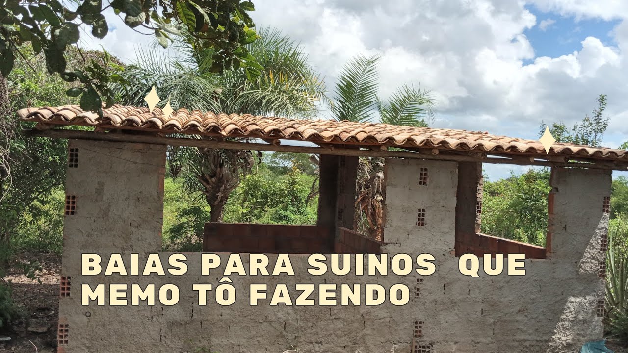 chiqueiro para porco que eu mesmo to fazendo sem nunca ter trabalhado como pedreiro.🐷🐖🐷🐽🐽🐷🐖