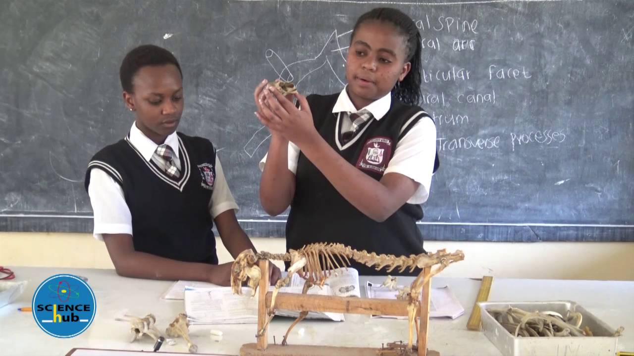 SCIENCE HUB Lockwood Girls High School Biology Form 4 LESSON 8 SUPPORT AND MOVEMENT IN PLANTS