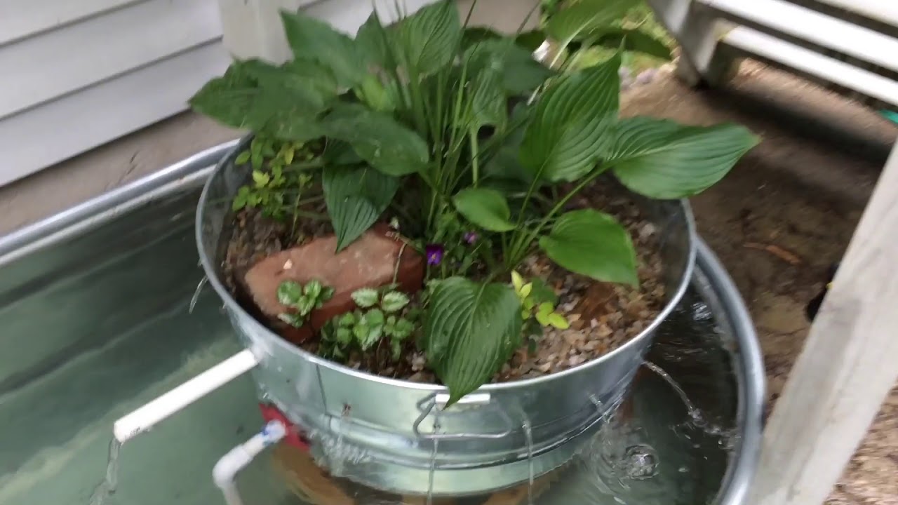 Homemade Bog Filter for Stock Tank Koi Pond