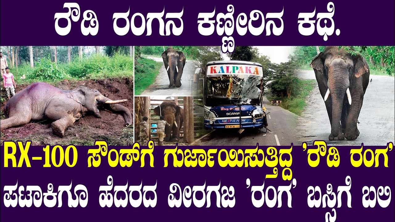 ರೌಡಿ ರಂಗನ ಕಣ್ಣೀರಿನ ಕಥೆ | Rowdy Ranga| Elephant | Paaregadde | Savanadurga