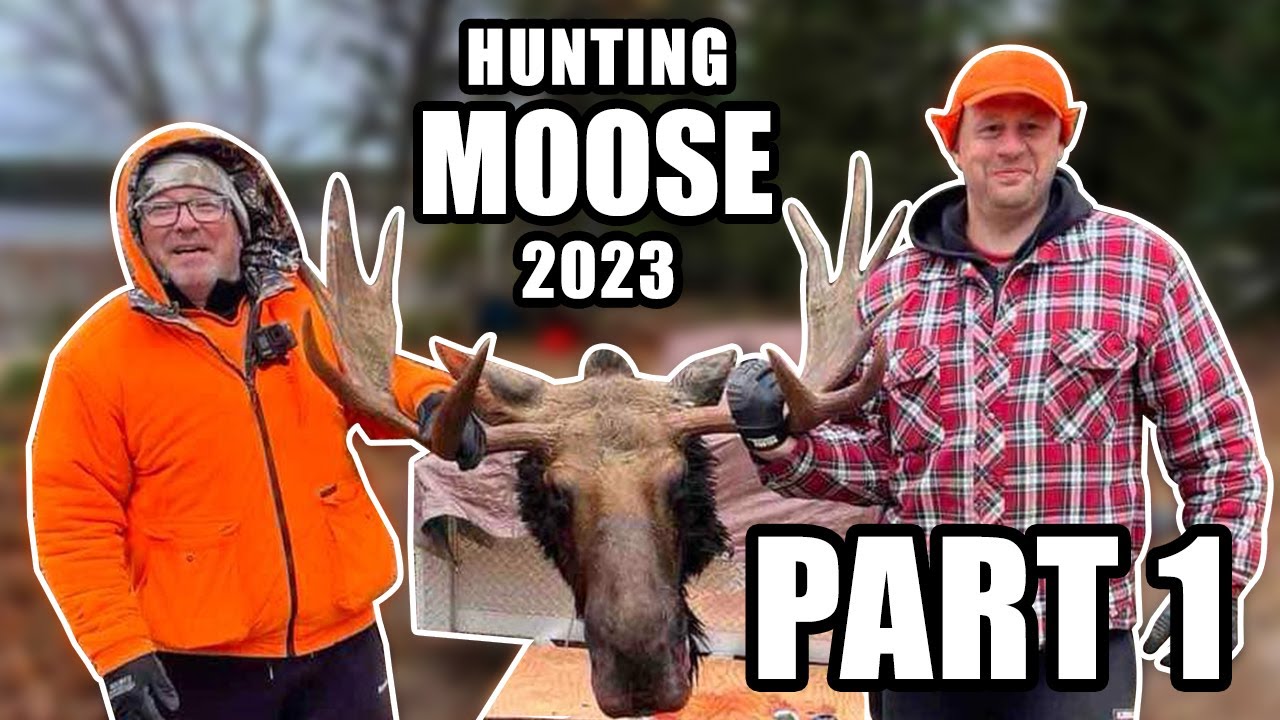 Охота на лося в Канаде 2023 - Ч.1. Hunting moose in Canada 2023 - P.1.