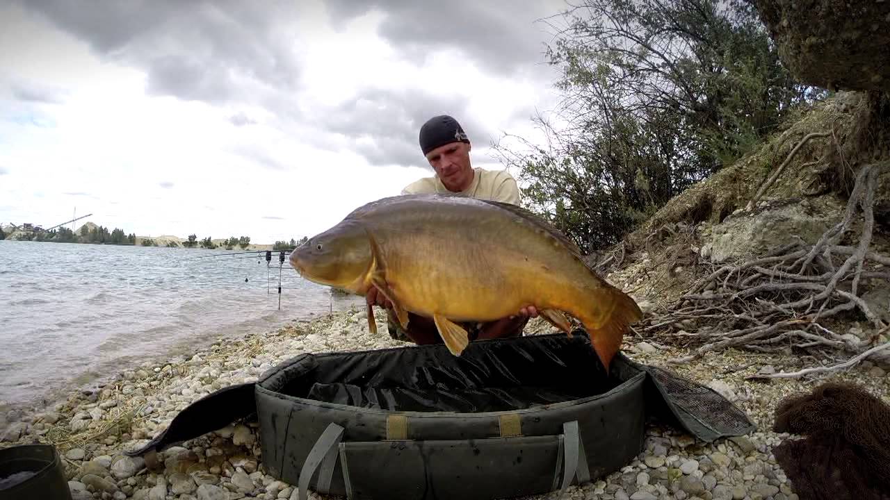 Imperial Baits feeling 2014 summer