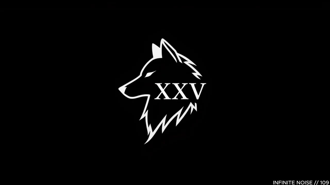 INFINITE NOISE // 109