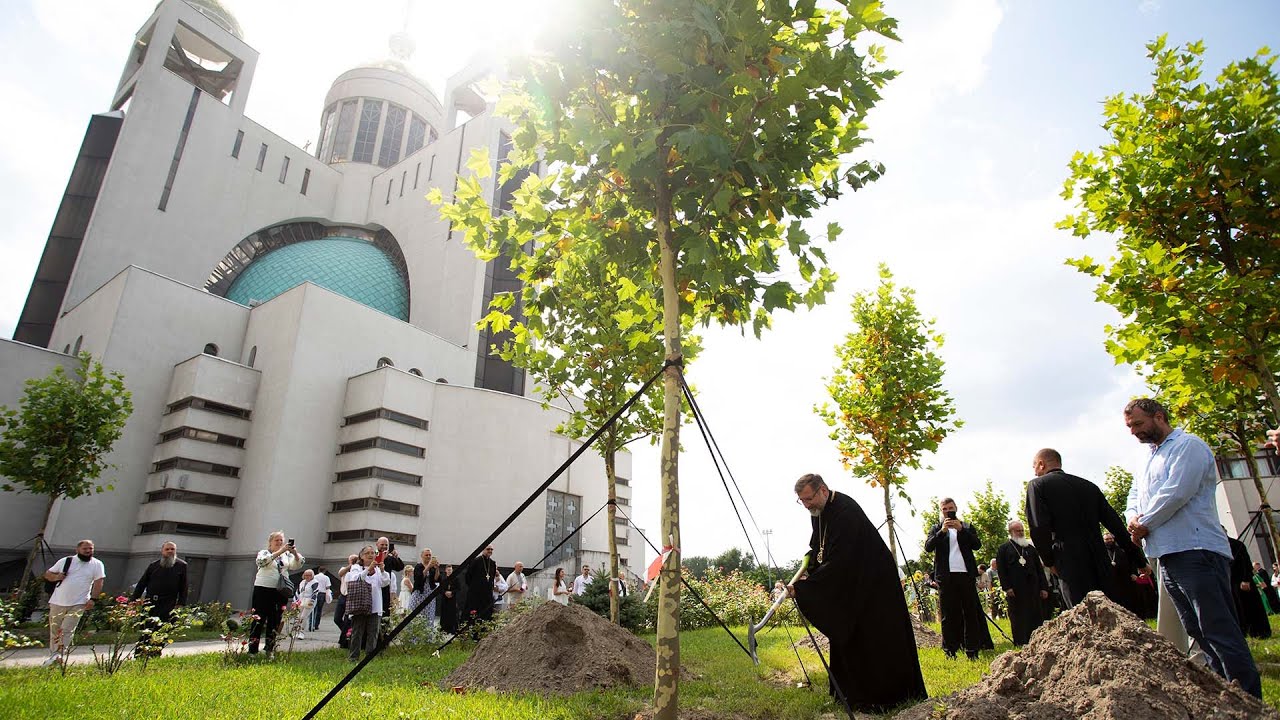 Освячення меморіальної дошки та започаткування Соборової площі висадкою дерев