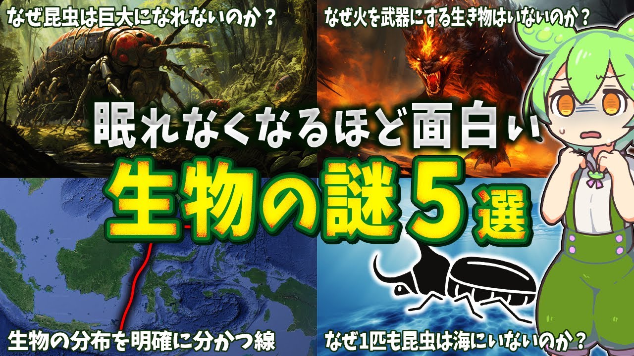 【総集編】眠れなくなるほど面白い生物の謎５選【ずんだもん解説】