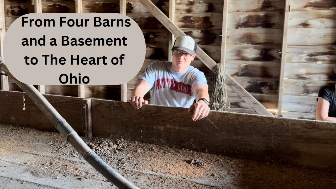 Antique Hunting in Four Barns and a Basement