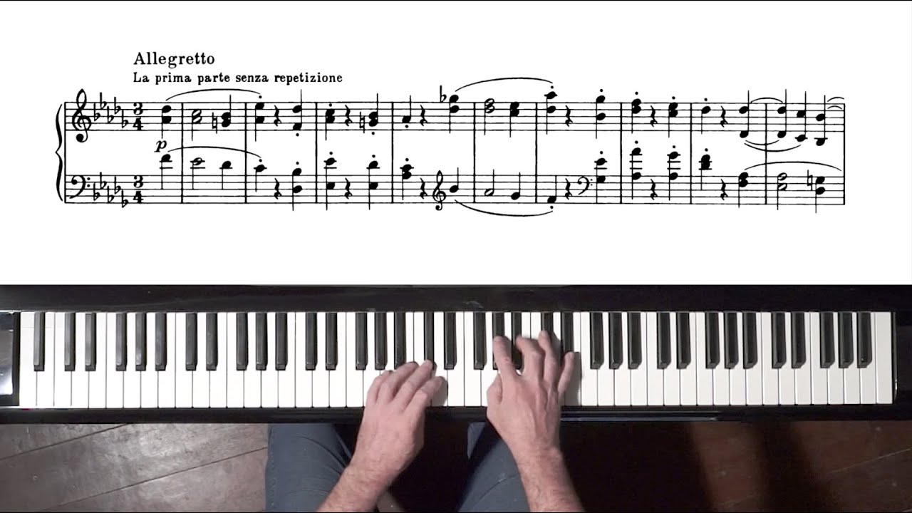 Beethoven &ldquo;Moonlight Sonata&rdquo; 2nd mov. Paul Barton, FEURICH piano